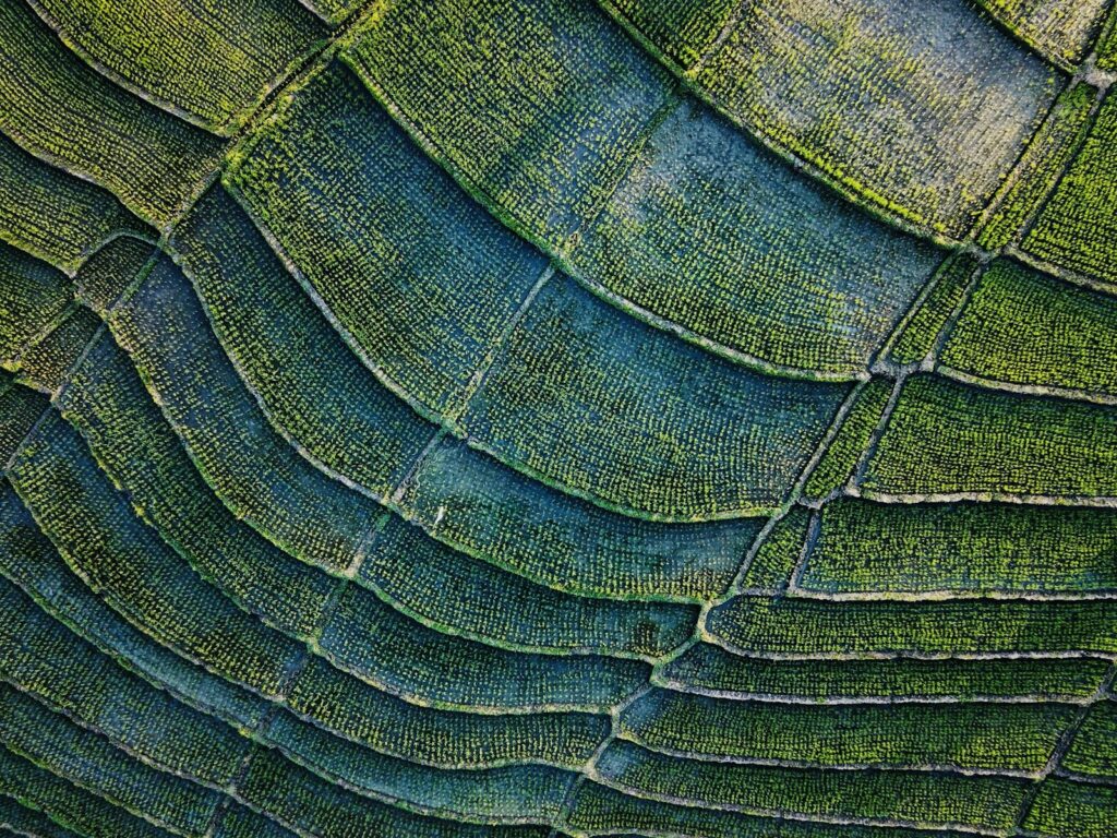 Can You Fly Over Ubud’s Rice Terraces by Helicopter? Routes & Reality