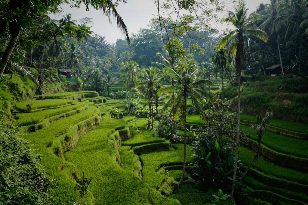 Tanah Lot Temple Helicopter Tour: West Coast Sunset Route & Price